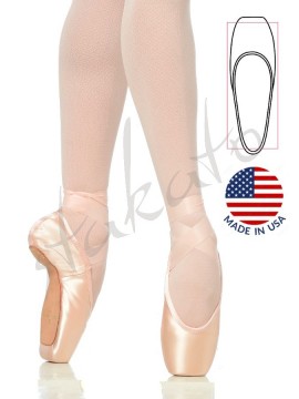 Gaynor Minden Classic Fit pointe shoes - made in US