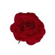 Decorative red rose