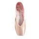 Cendrillon Sansha pointe shoes