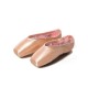 Cendrillon Sansha pointe shoes