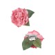 Small decorative rose with leaves 19532