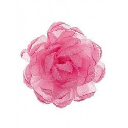 Piwonia dekoracyjna mała Michelle