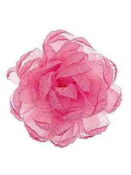 Piwonia dekoracyjna mała Michelle