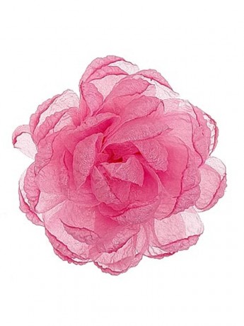 Mała piwonia dekoracyjna Michelle