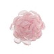 Michelle decorative peony