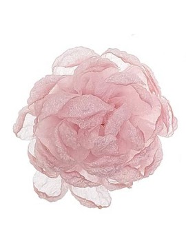 Mała piwonia dekoracyjna Michelle