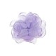 Michelle decorative peony