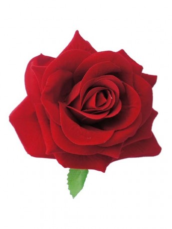 Róża dekoracyjna z listkiem