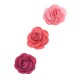 Small decorative rose